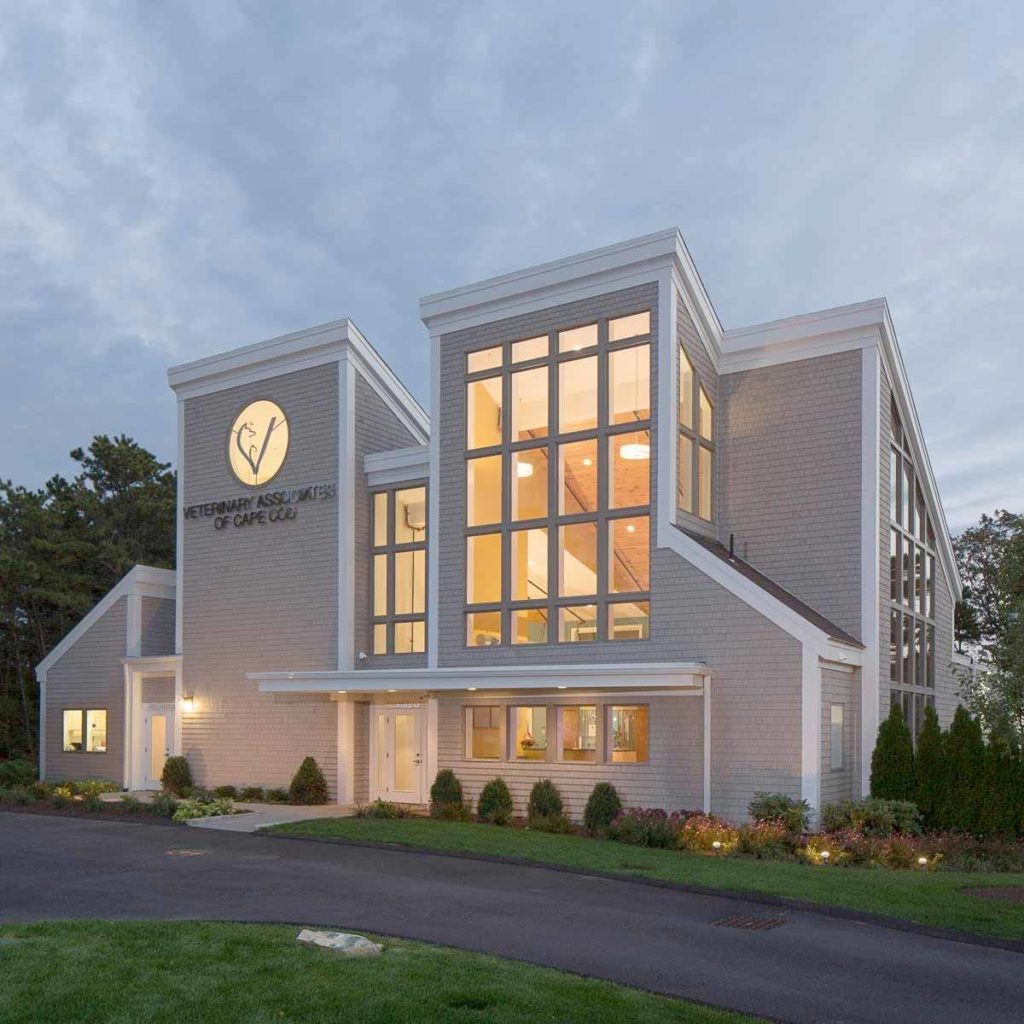 Veterinary Associates of Cape Cod building lit up at night in South Yarmouth